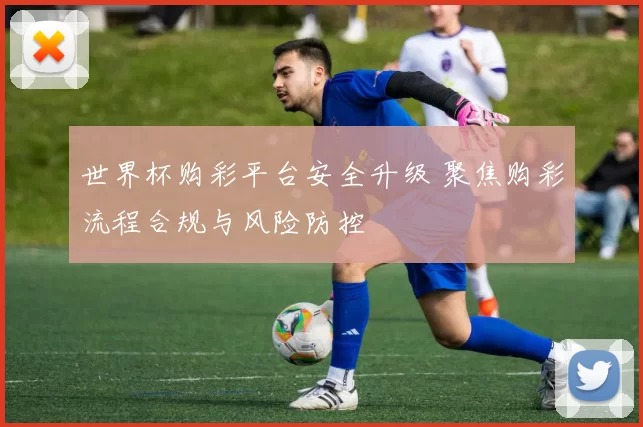 世界杯购彩平台安全升级 聚焦购彩流程合规与风险防控