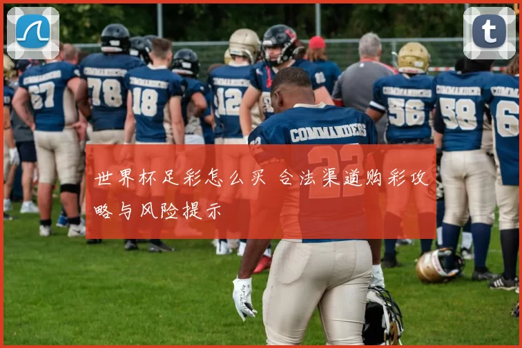 世界杯足彩怎么买 合法渠道购彩攻略与风险提示