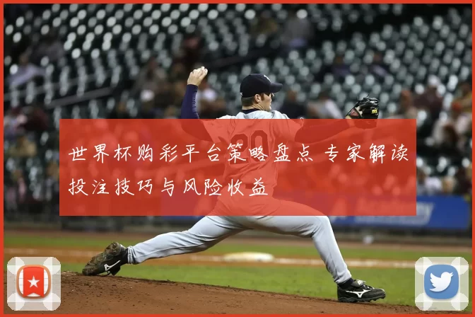 世界杯购彩平台策略盘点 专家解读投注技巧与风险收益